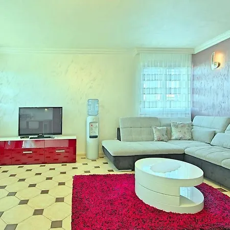 Apartment Viki